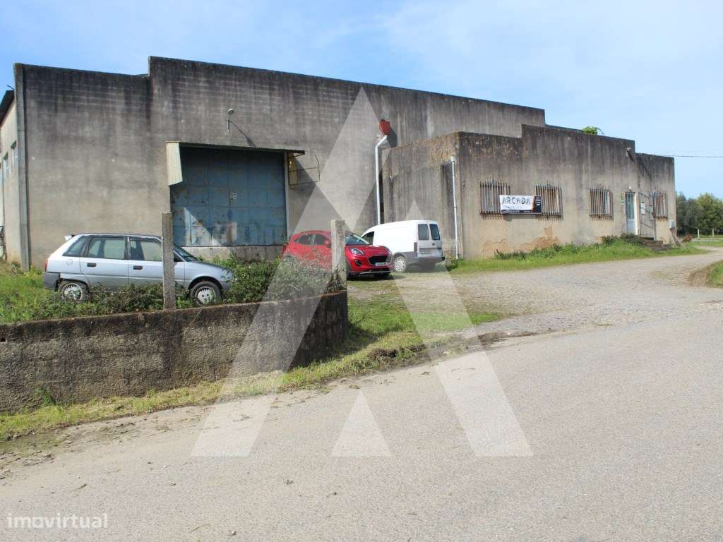 Armazém para Indústria em Macinhata do Vouga - Águeda - Grande imagem: 4/46