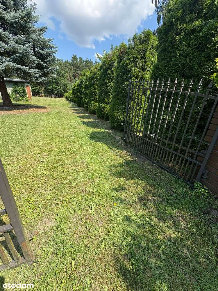 Działka budowlana Zwódne ogrodzona, WZ, droga wewnętrzna! 170 zł - Pełny obrazek: 5/17