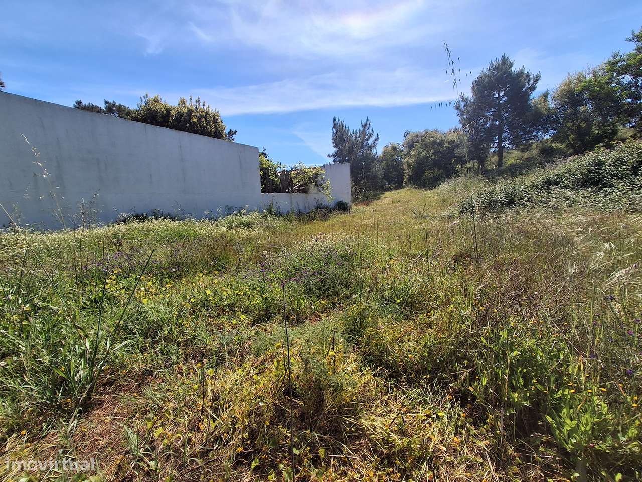 Terreno Urbano, Marisol-5