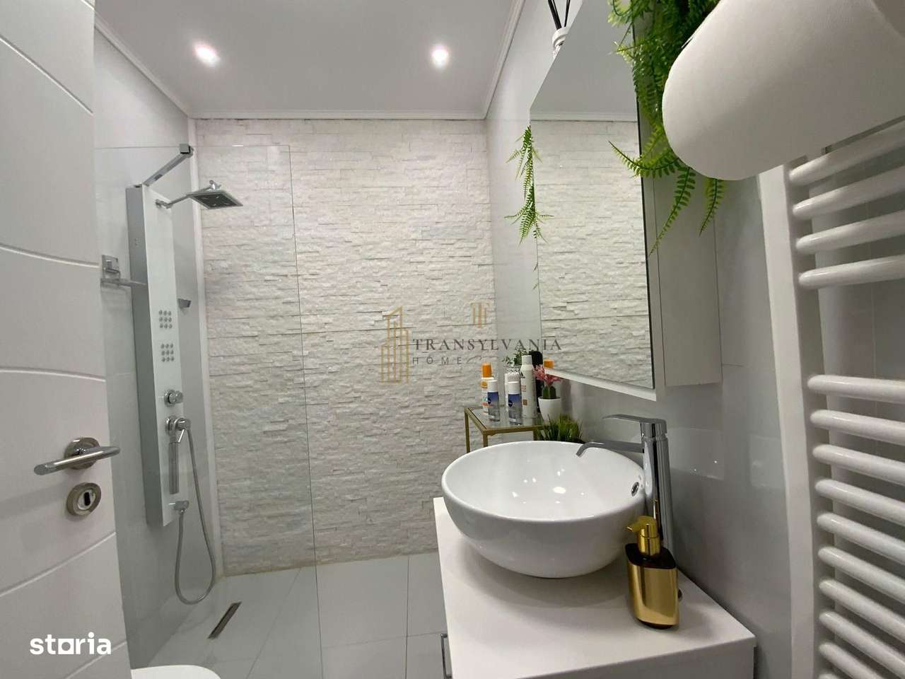 Saptiu comercial de vanzare-12