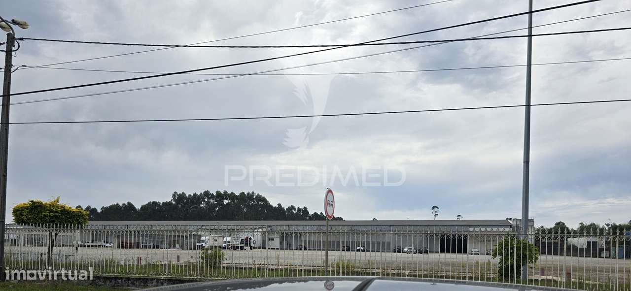 Armazém com 5000m2 num terreno de 28 250 m2 - Grande imagem: 3/4