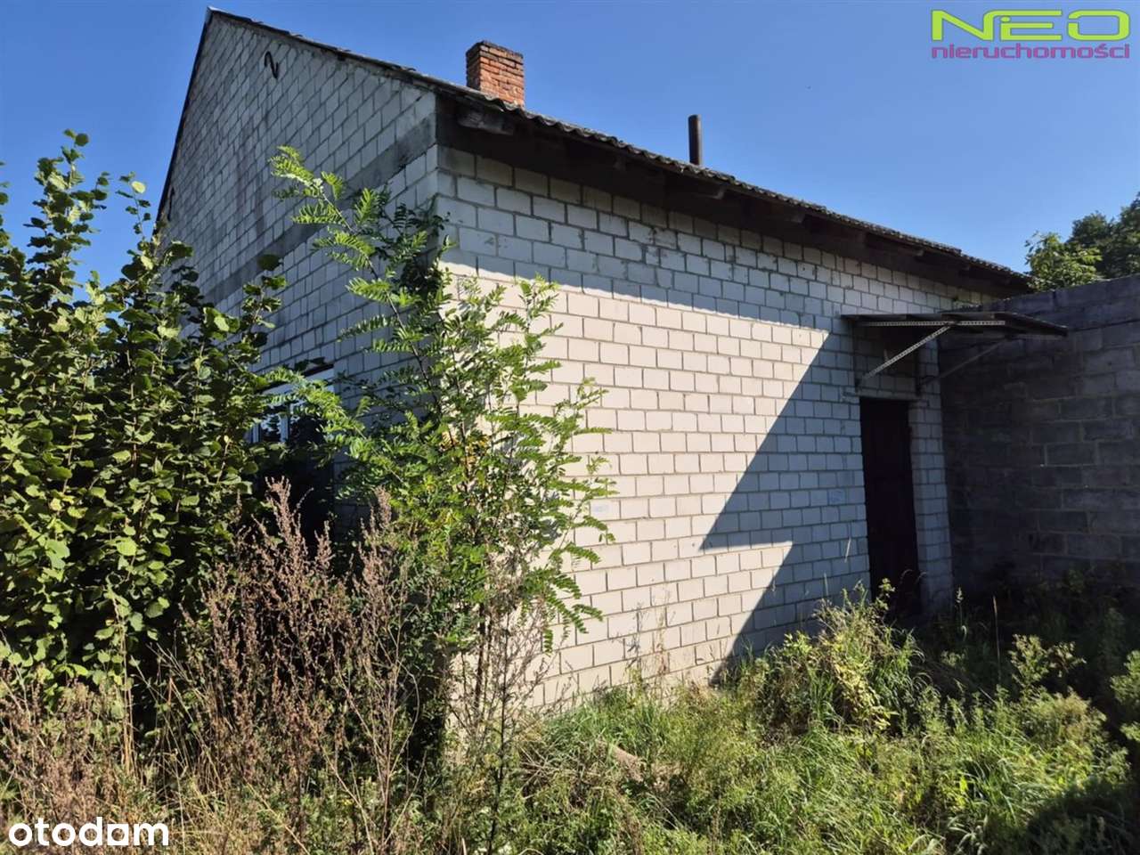 Siedlisko na sprzedaż! - Pełny obrazek: 4/11