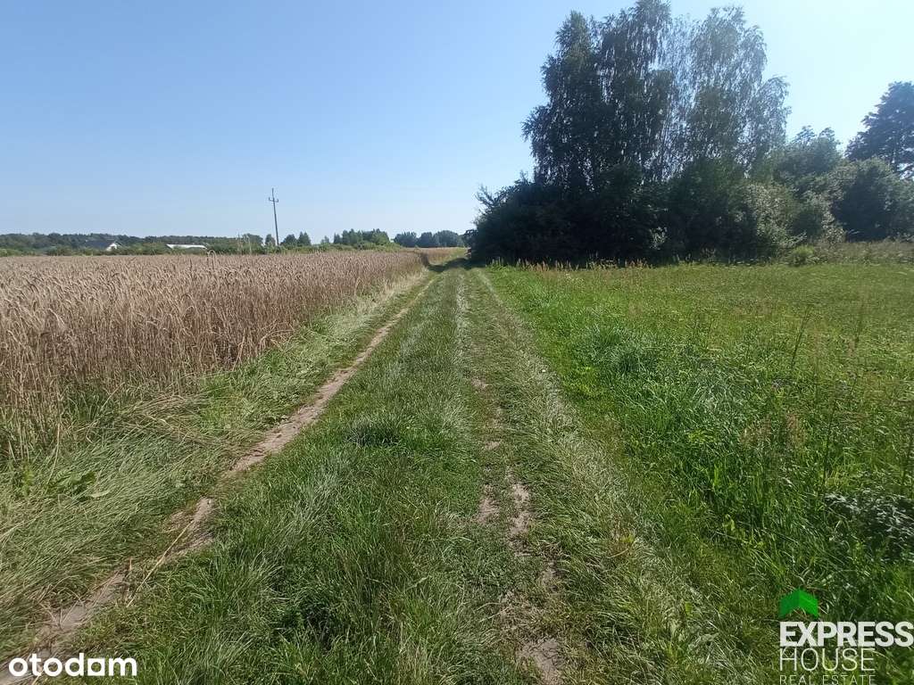 Działka rolna 3 km od Aleksandrowa Łódzkiego - Pełny obrazek: 2/4