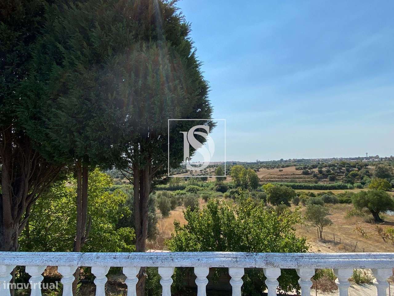 Quinta - Torres Novas - Grande imagem: 4/30