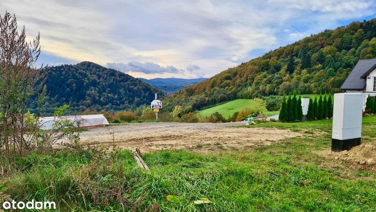 Działka, 9 700 m², Wołkowyja - Pełny obrazek: 4/9