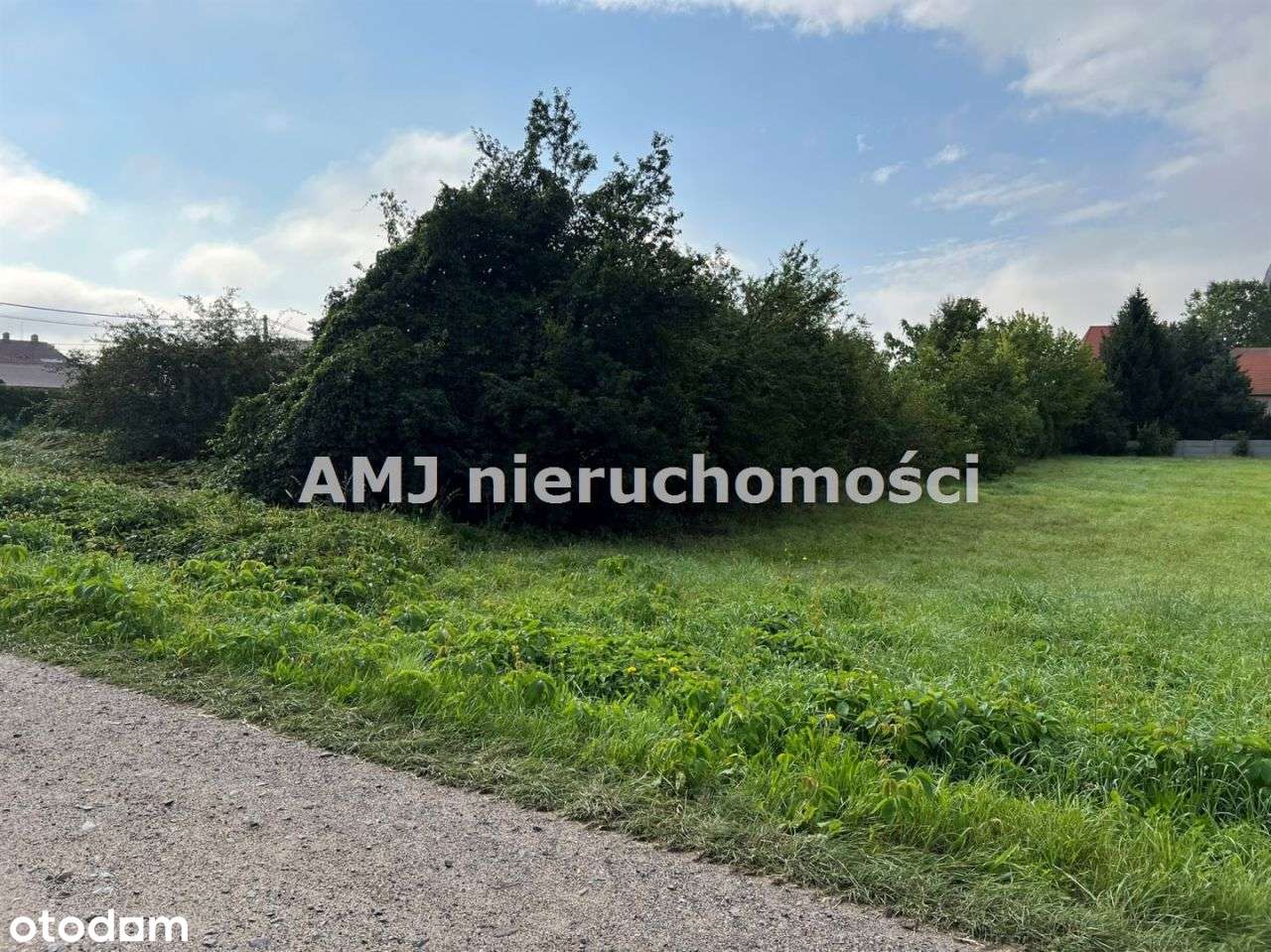 Dzialka w Kunicach, kilka minut od jeziora-3