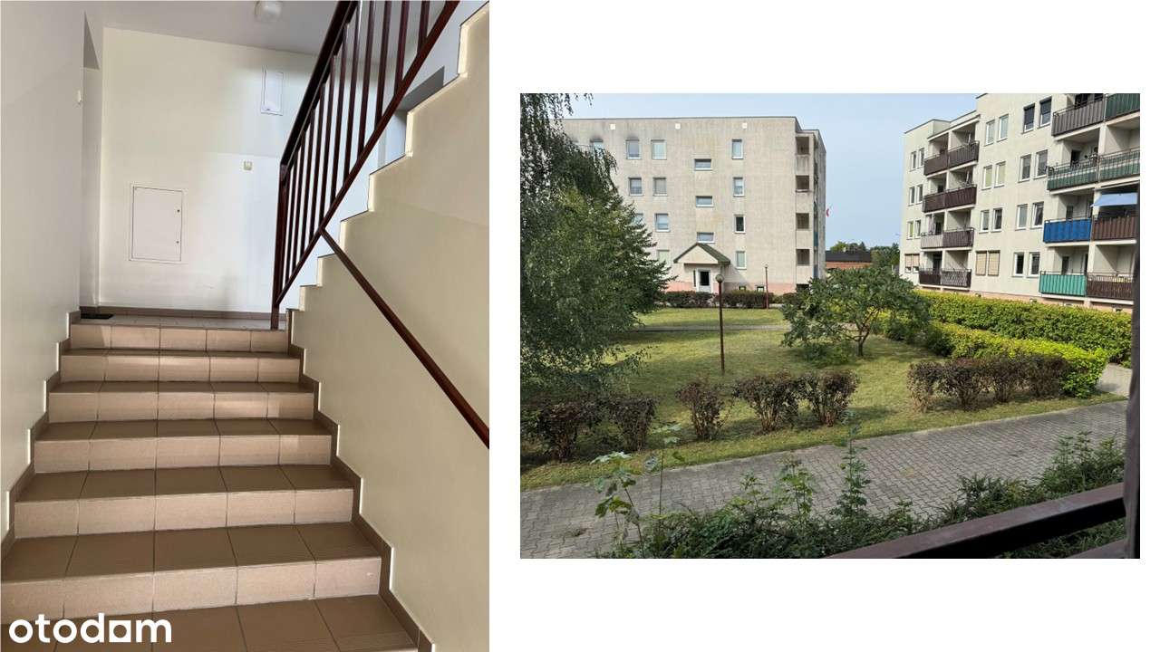 Sprzedam mieszkanie 2 pok.+kuchnia,piwnica Osiedle Wyzwolenia 23 Turek-2