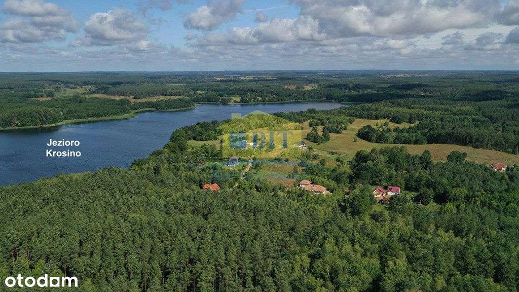 Działka 1,13 ha, nad jeziorem, warunki zabudowy - Pełny obrazek: 5/14