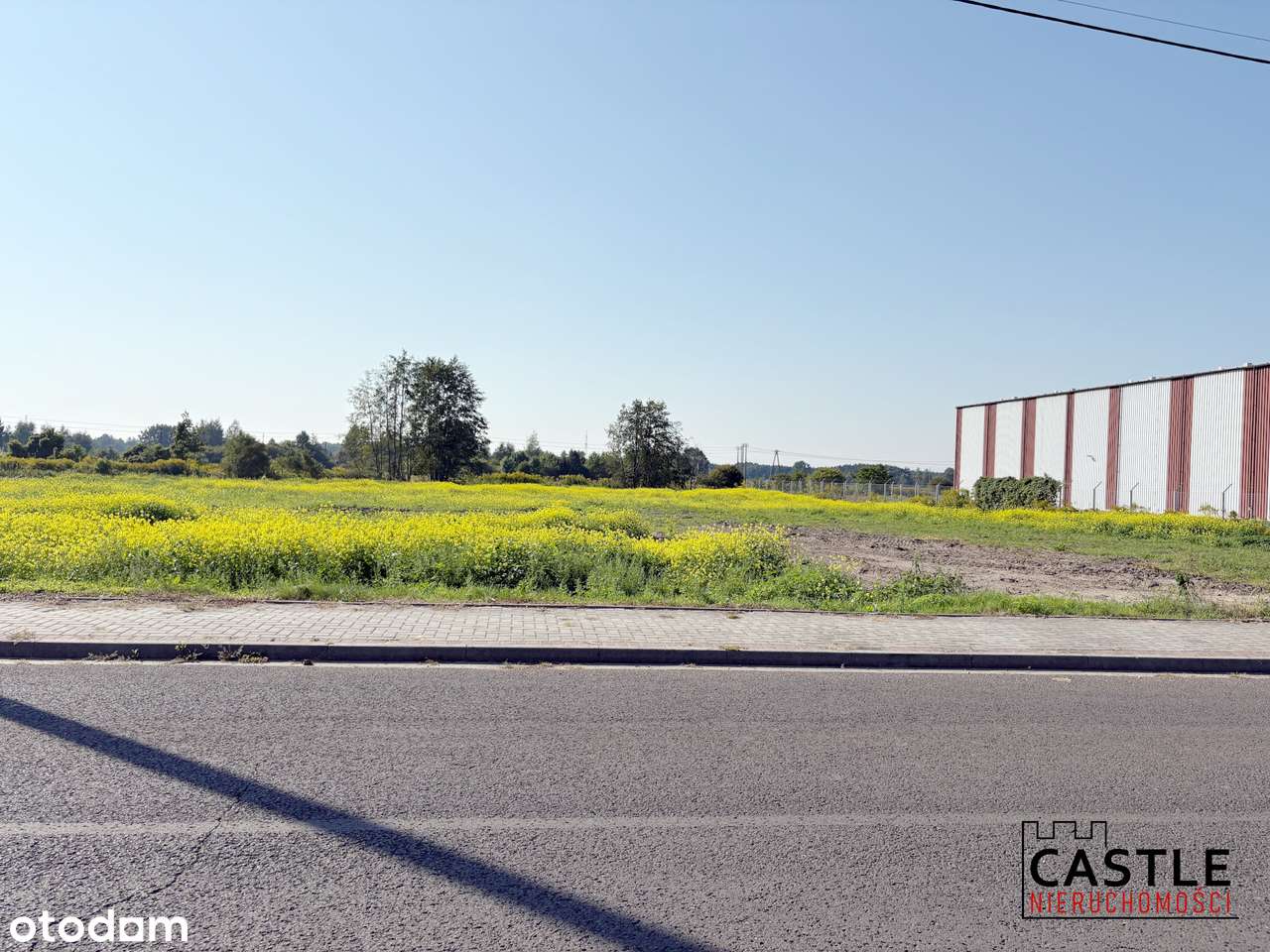 Duży teren inwestycyjny  pod halę lub centrum logistyczne-9