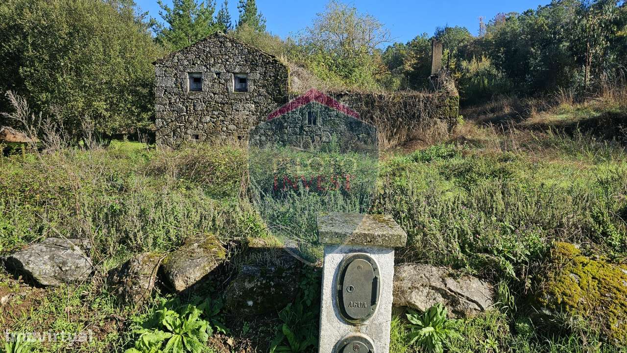 Terreno  Venda em São Cipriano e Vil de Souto,Viseu - Grande imagem: 3/7
