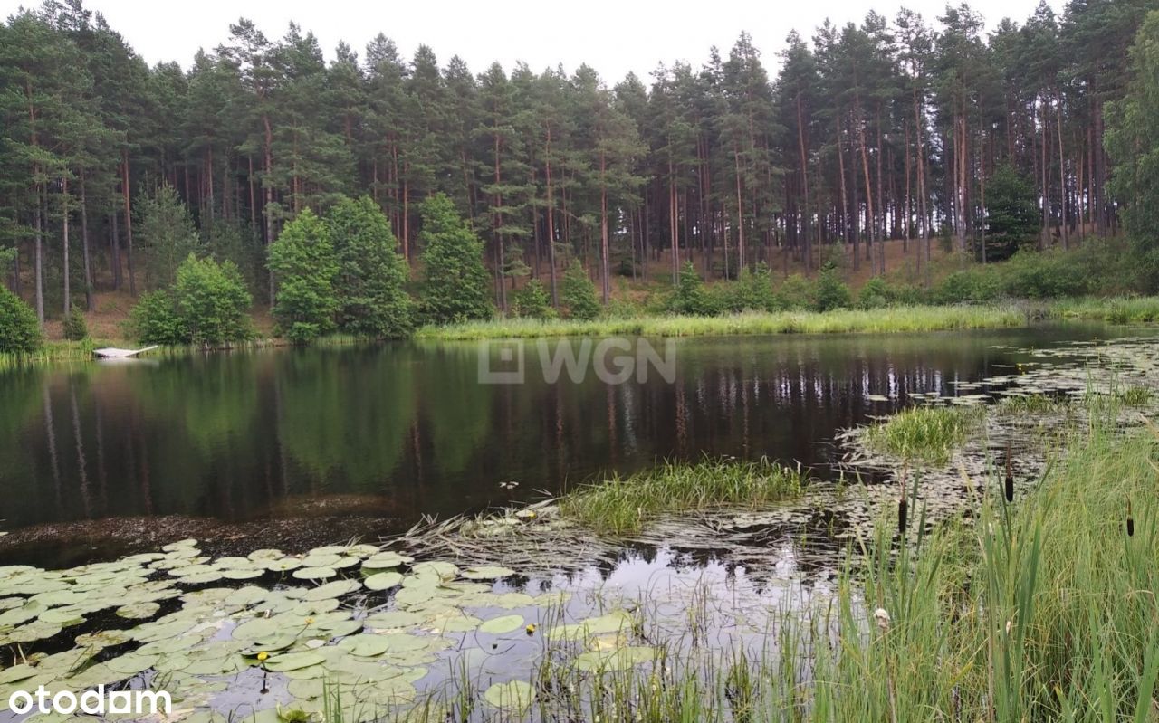 Działka budowlana - Cieciorka o pow. 3000 m2