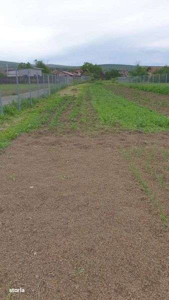 Teren de vânzare în Mihai Viteazu, Cluj - Imagine principală: 4/6