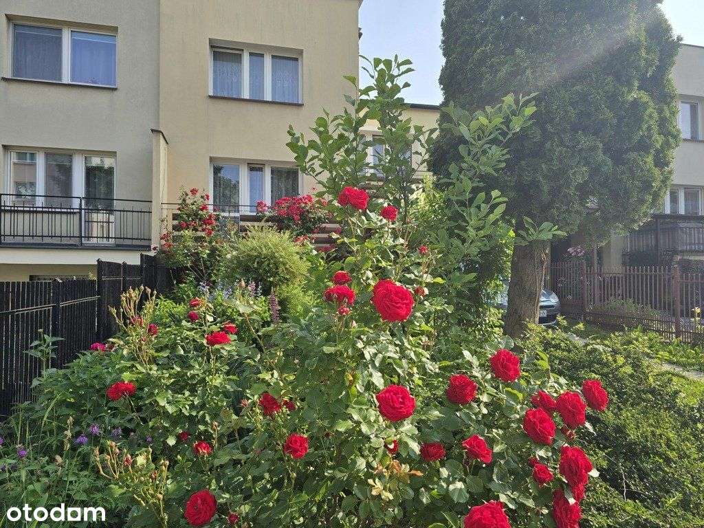 Dom jednorodzinny > 120 m2 > działka 230 m2 - Pełny obrazek: 5/9