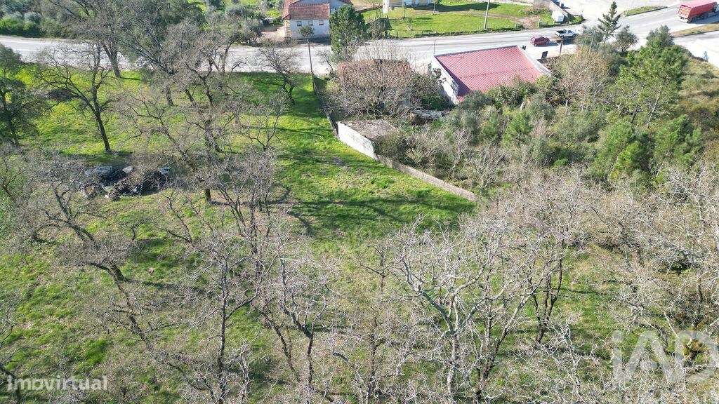 Casa tradicional T3 em São Miguel, Santa Eufémia e Rabaçal de 101,00 m - Grande imagem: 5/12