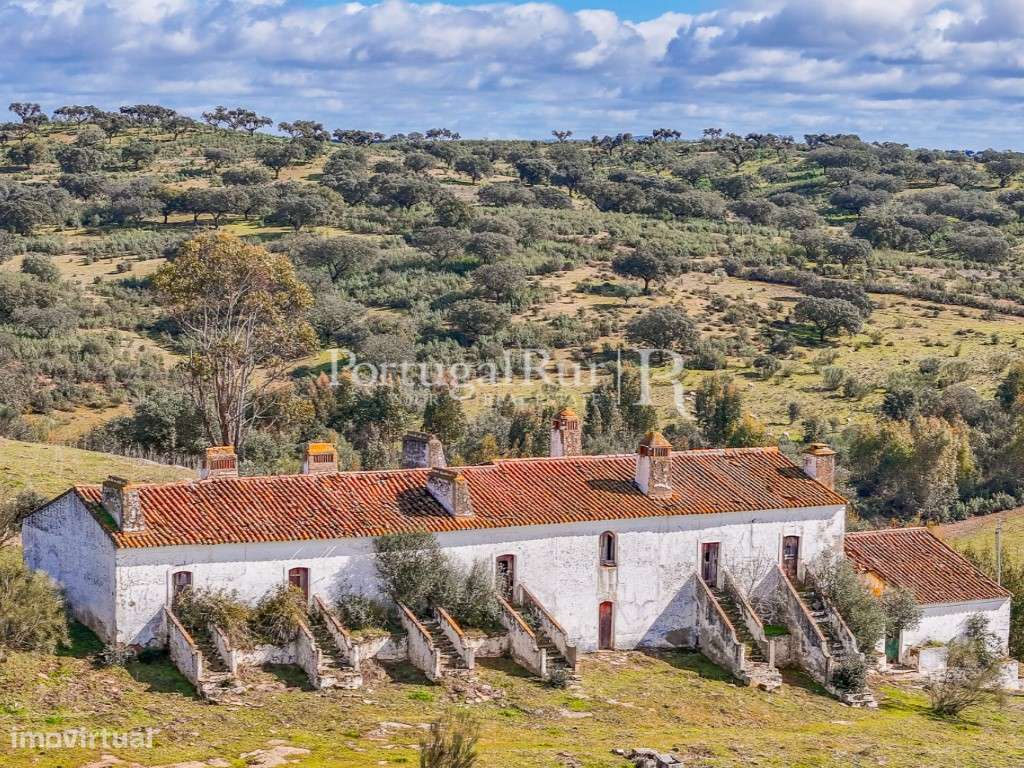 Quinta de 11 Hectares com aptidão para Hotel Rural - Grande imagem: 5/60
