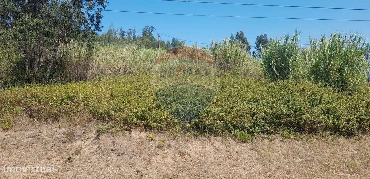 Terreno  para venda - Grande imagem: 4/5