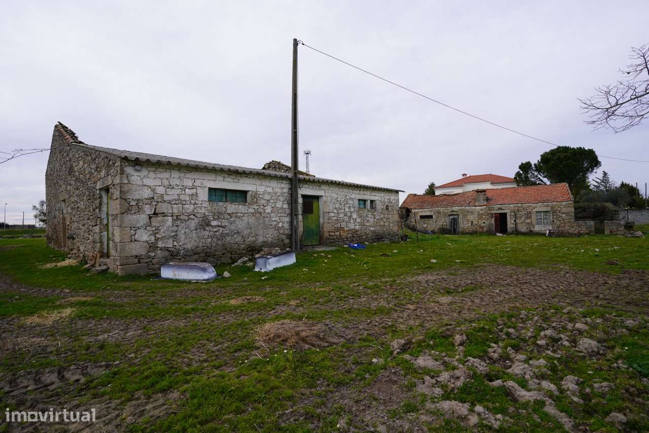 Quinta T0 Venda em Alcains,Castelo Branco - Grande imagem: 4/34