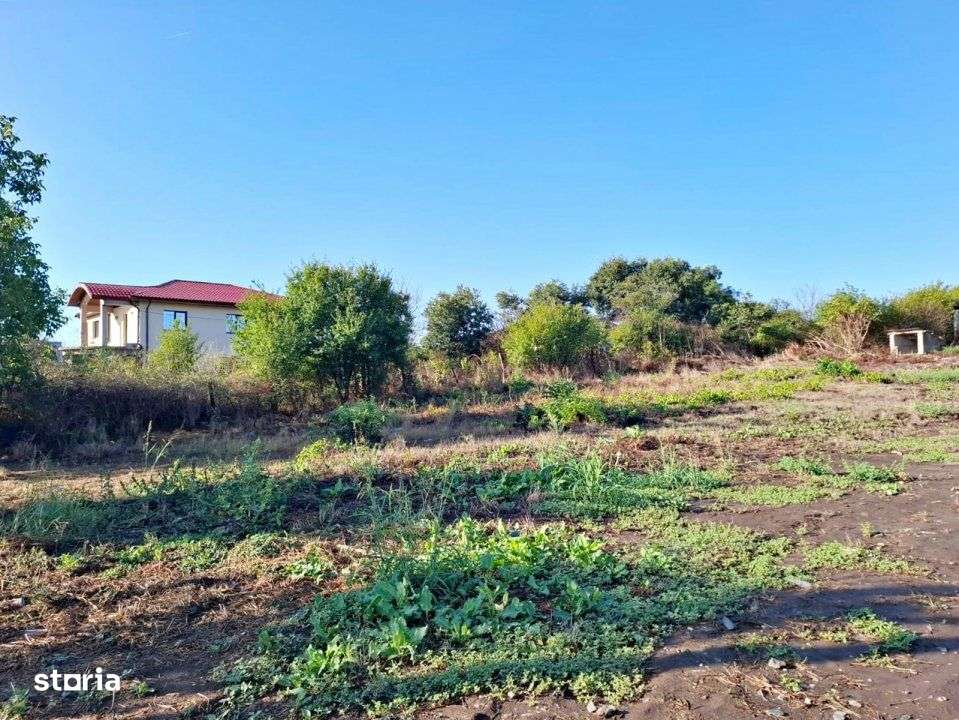 Central - 23 August - teren ideal pentru rezidenta sau comercial-6