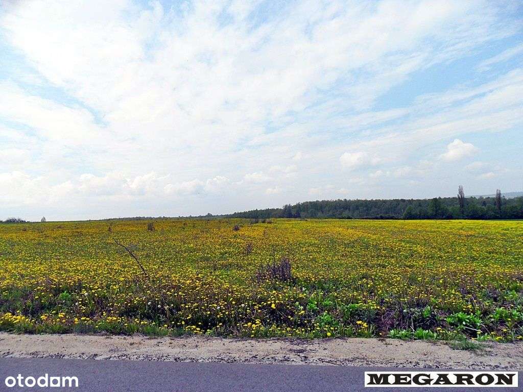 Działka, 7 192 m², Zawada - Pełny obrazek: 4/5