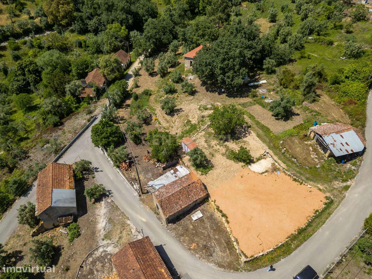 Terreno com ruina de arrumos Casais da Abadia ,Caxarias com Árvores Fr - Grande imagem: 5/8