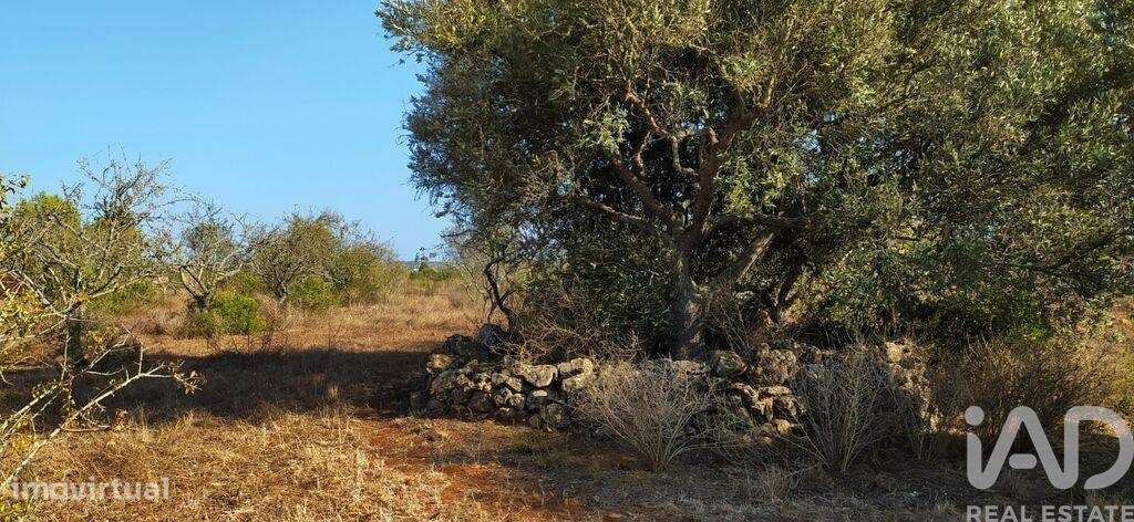 Terreno T1 em Bensafrim e Barão de São João de 25200,00 m2 - Grande imagem: 2/29