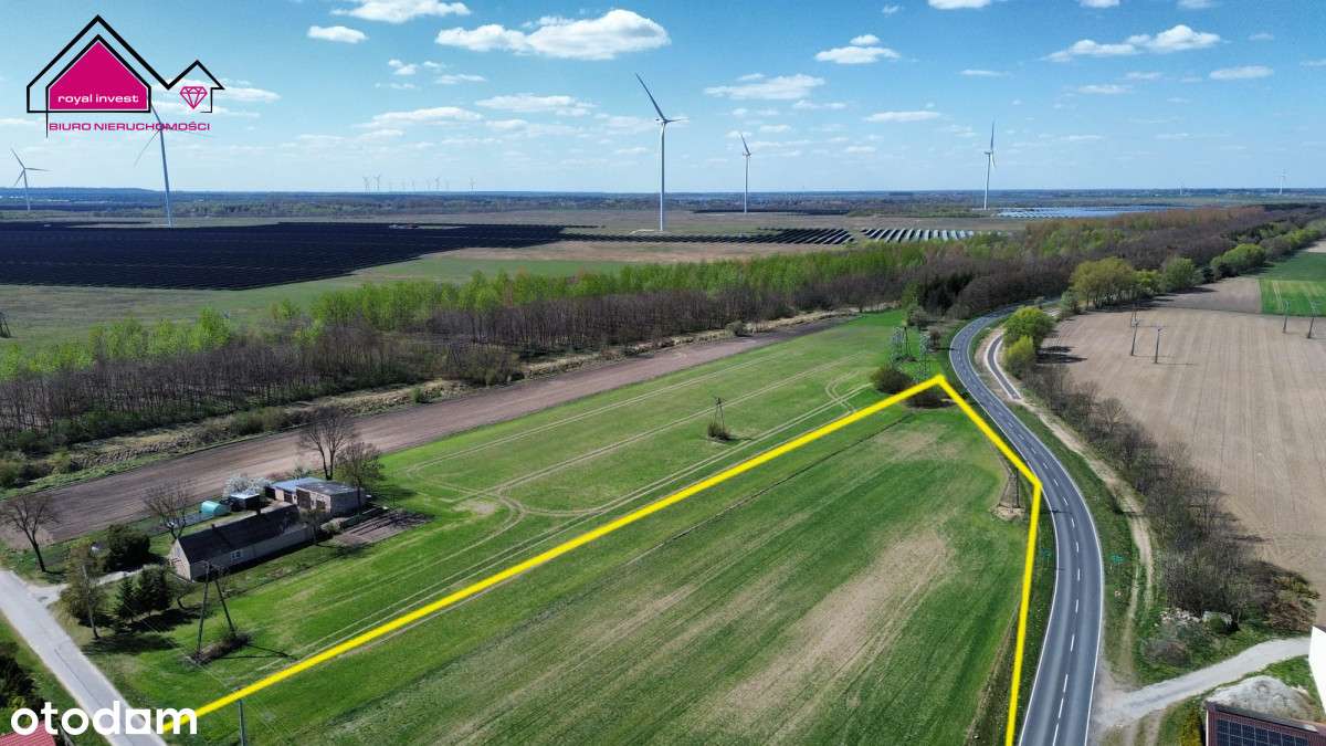 Działka inwestycyjna  1 ha gmina Kleczew
