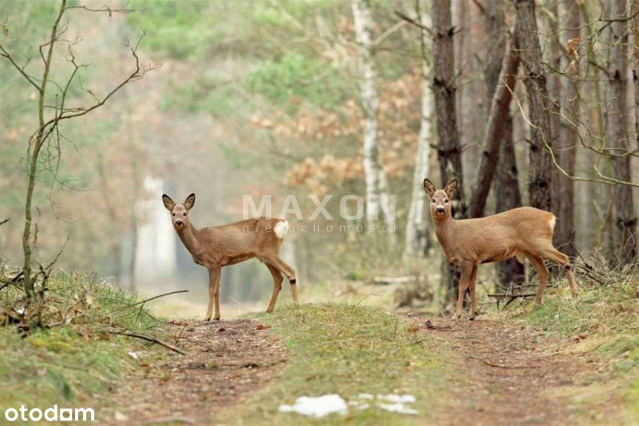 Nowoczesność - Pełny obrazek: 5/20