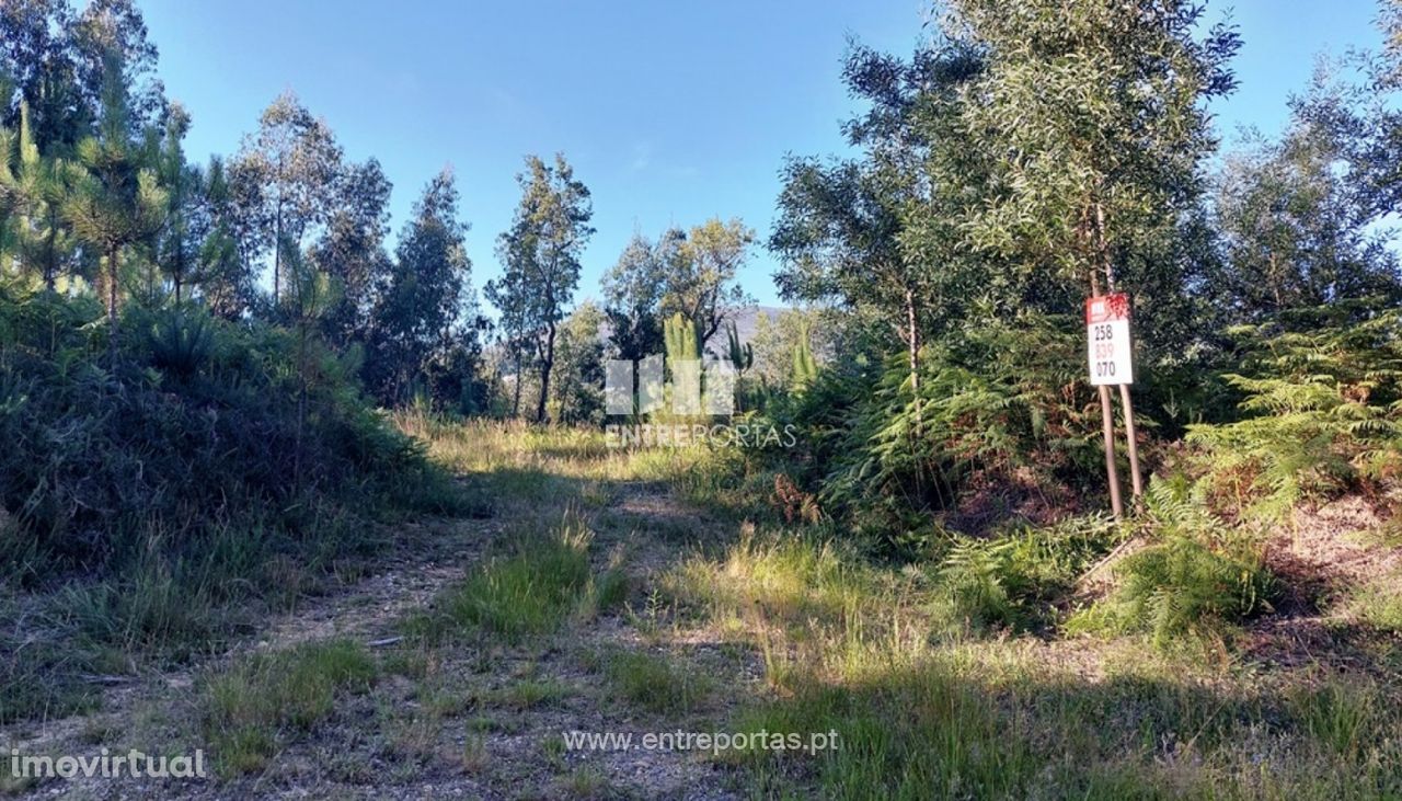 Venda de terreno florestal, Vilar de Murteda, Viana do Castelo