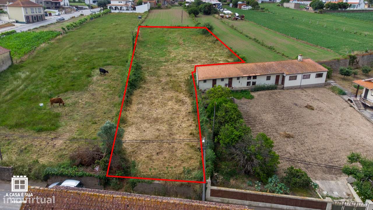 Terreno  c/ viabilidade de construção em Salreu, Estarreja - Exclusivo-14
