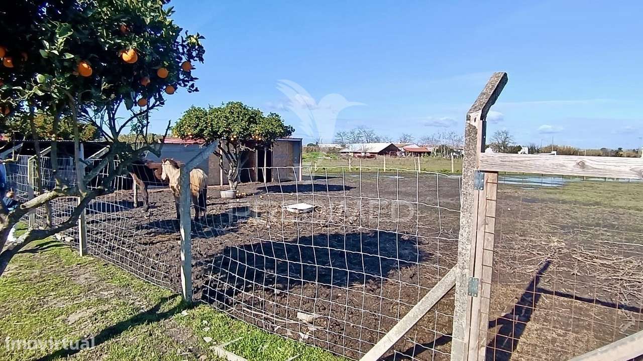 Moradia T3 + 2 com ampla área externa-7