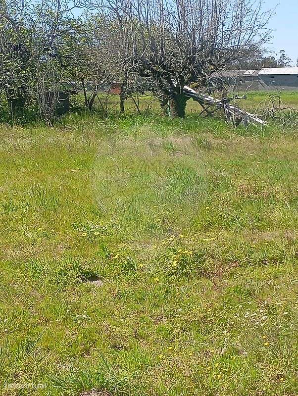 Terreno  para venda - Grande imagem: 5/9