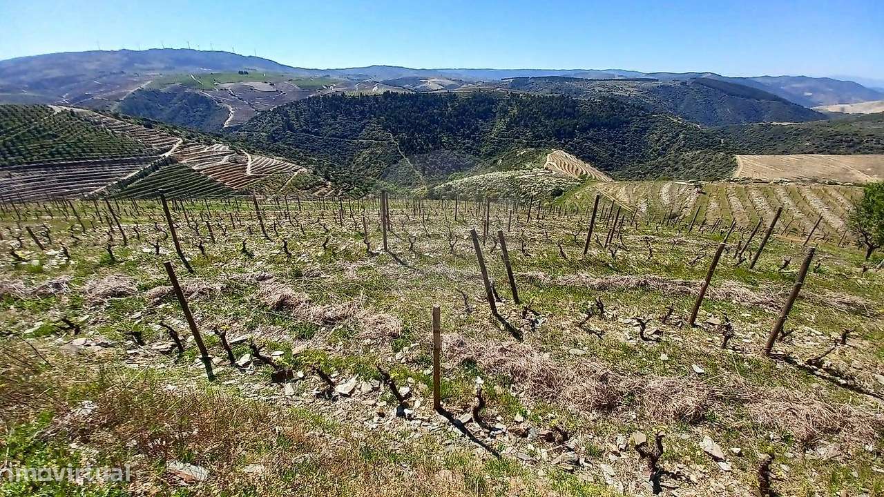 Terreno  para venda - Grande imagem: 5/8