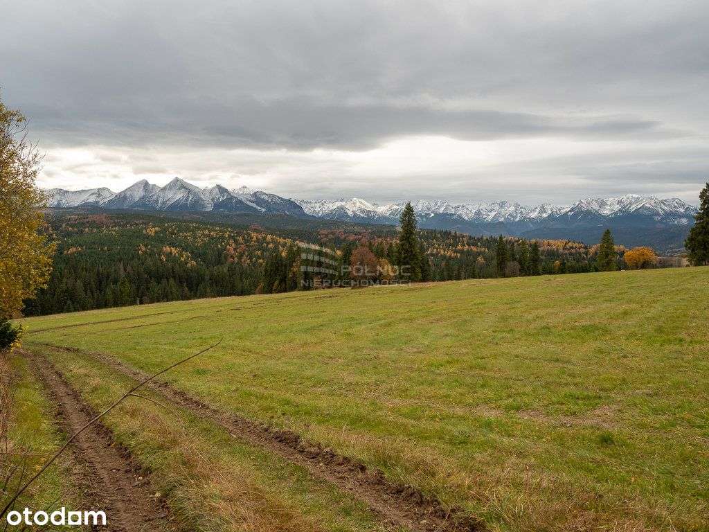 Rzepiska – działka z widokiem na Tatry - Pełny obrazek: 4/9