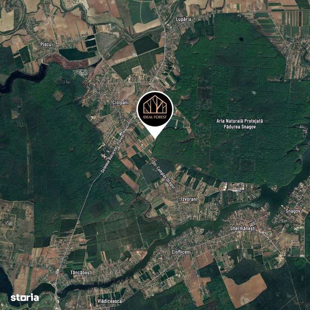 Lot de teren, padurea Snagov - Ciolpani - mega reduceri de pret!-9