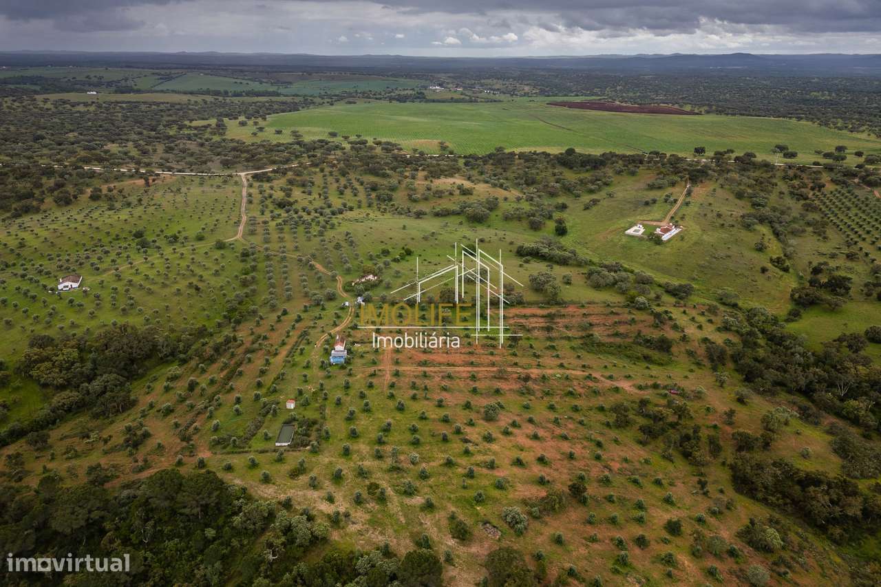 MONTINHO DO CHIADO - MALARRANHA - PAVIA-40