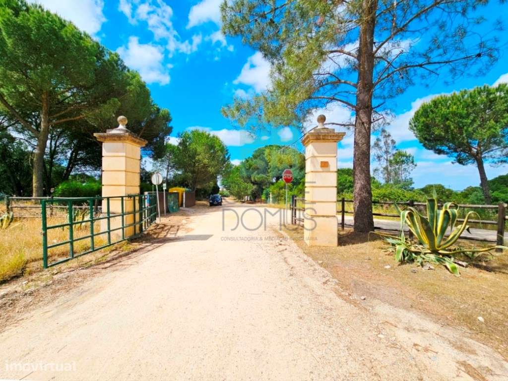 Lote de Terreno de 33.300m2, com lagoa, na Mata do Duque 1, Santo E...-34
