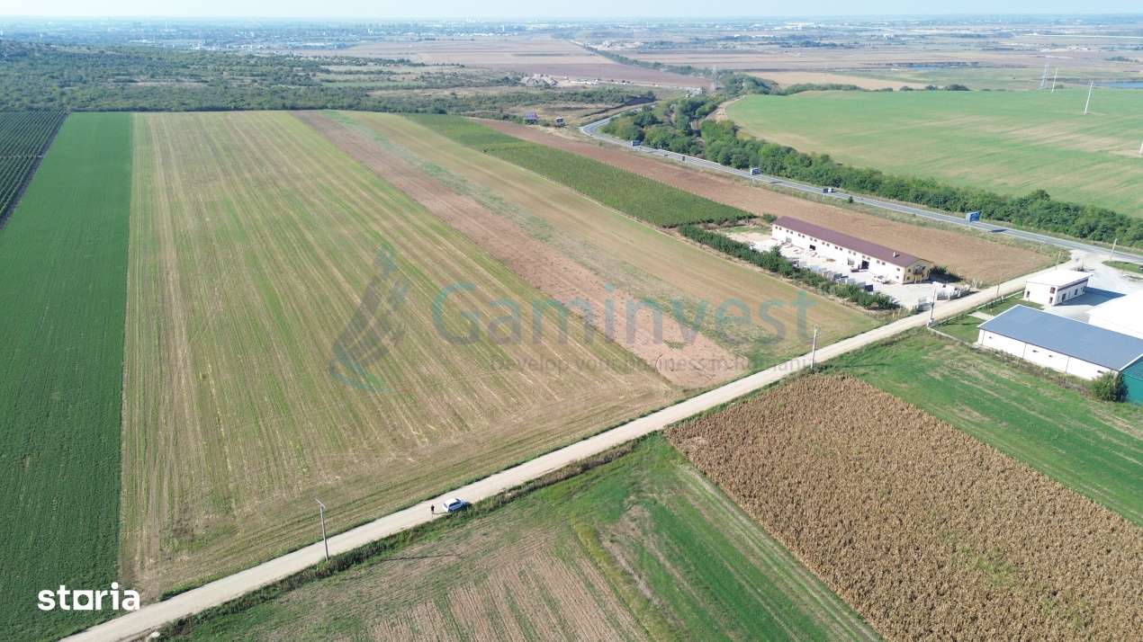 Teren intravilan de vanzare, langa Oradea, Bihor, Gaminvest, V4117-13