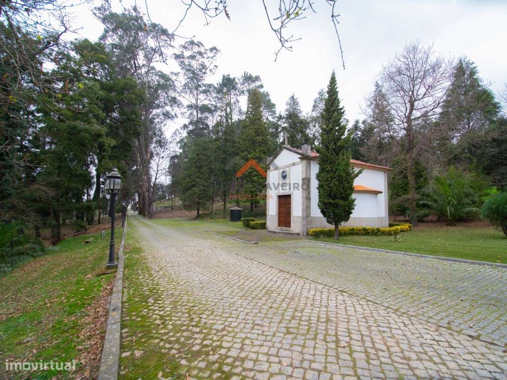 Fantástica Quinta em Oliveira de Azemeís!!! - Grande imagem: 2/60