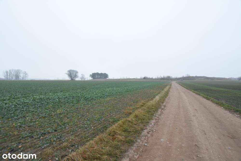 Działka budowlana możliwość budowy 3 domów BRZOZA/Niepruszewo-10