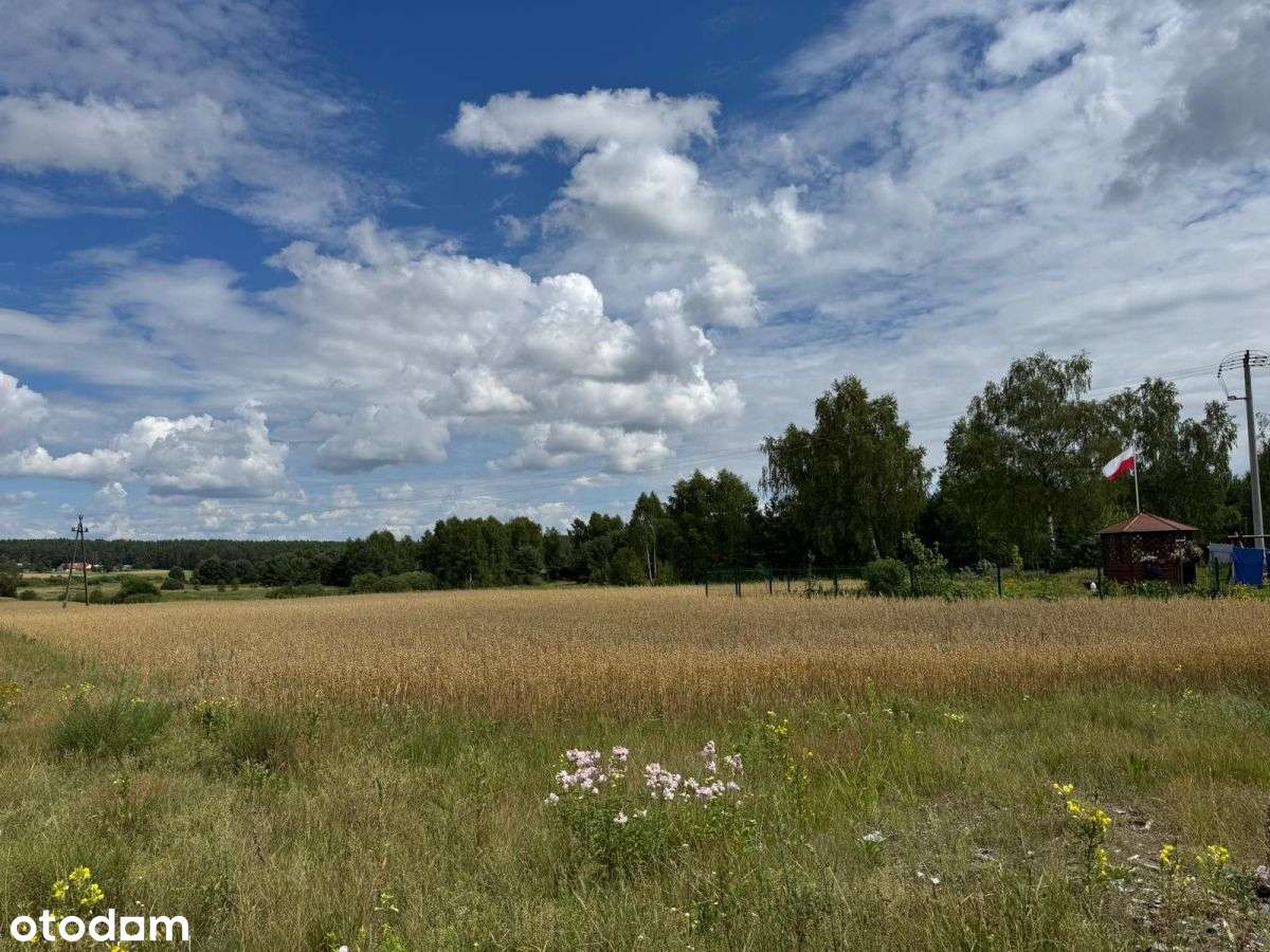 Działka mieszkaniowa w Olpuchu // Kaszuby - Pełny obrazek: 5/6