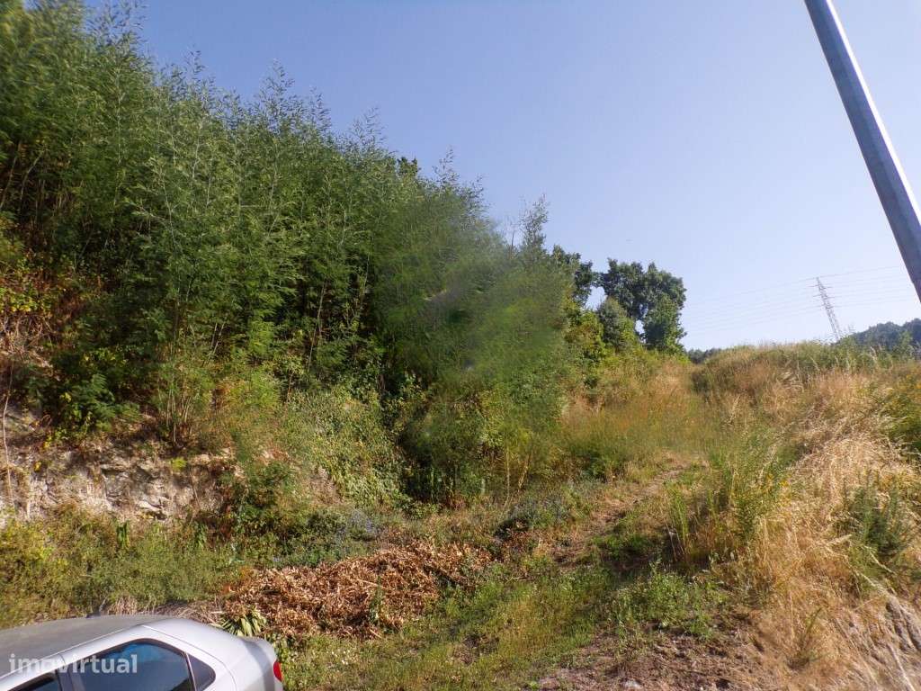 Oferta da escritura. Terreno p/ construção, com 8934m2, em Negrelos... - Grande imagem: 5/5