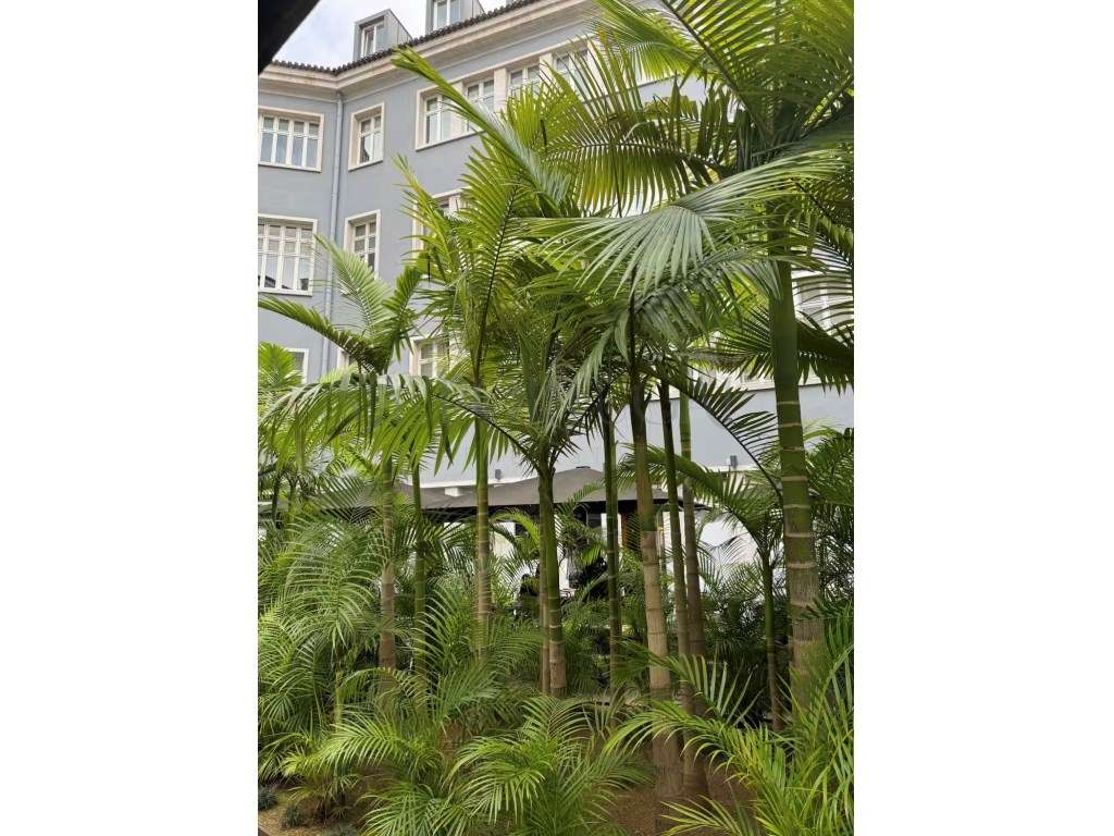 Refúgio de Design e Luz na Praça Dom Luís I - Onde o Rio encontra a...-26