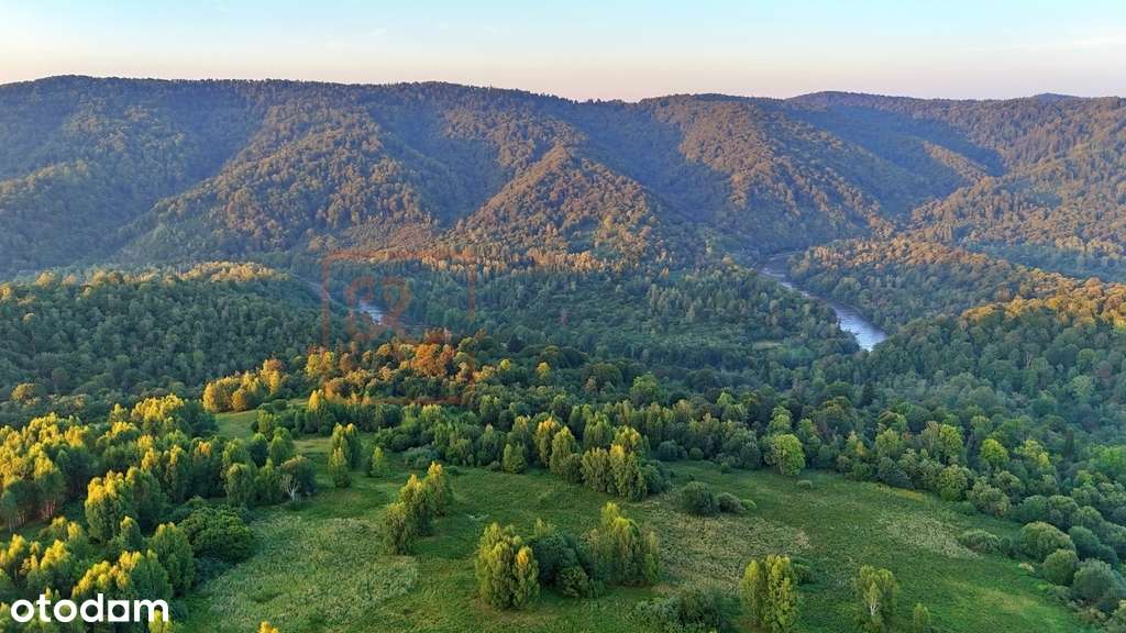 Hulskie / Krywe Działka 7.26ha Dzikie Bieszczady - Pełny obrazek: 4/10