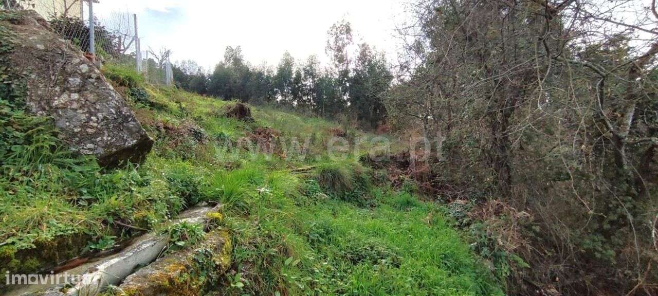 Terreno / Marco de Canaveses, Várzea, Aliviada e Folhada - Grande imagem: 2/12