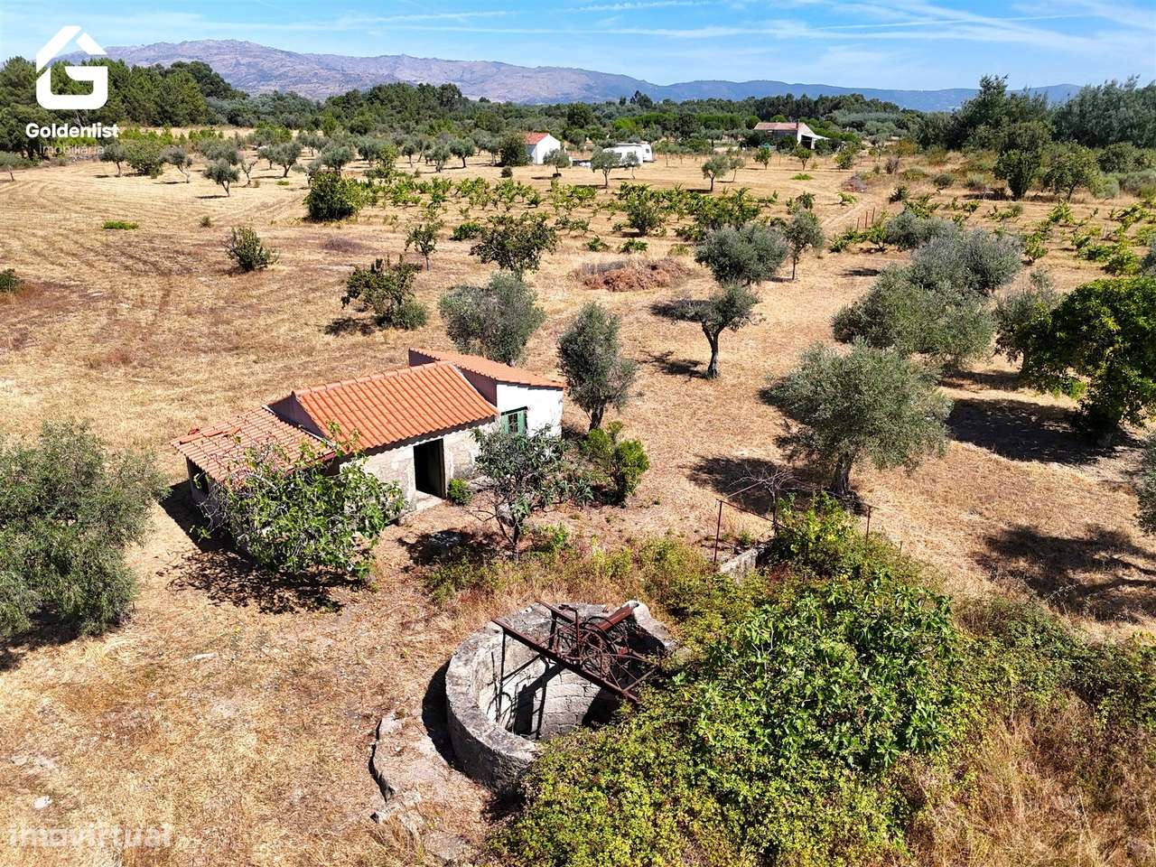 Quinta  Venda em Lardosa,Castelo Branco-8