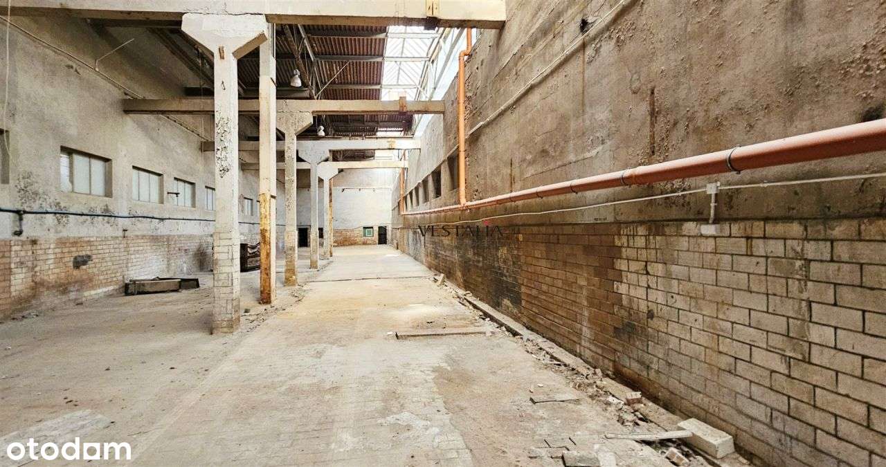 Hala Produkcyjno-Magazynowa Olkusz-7