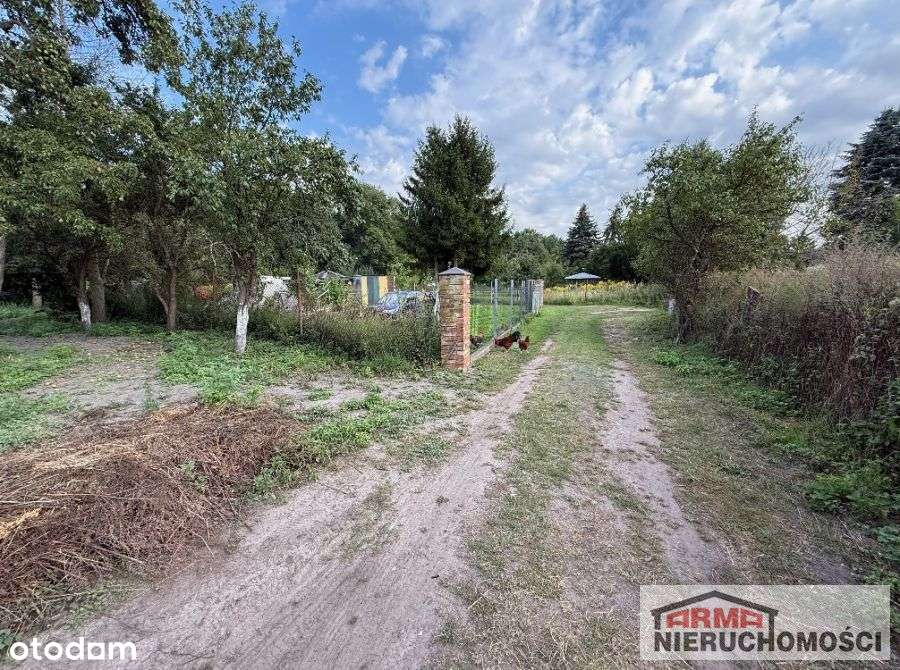 Działka 100M Od Jeziora Miedwie - Pełny obrazek: 5/6