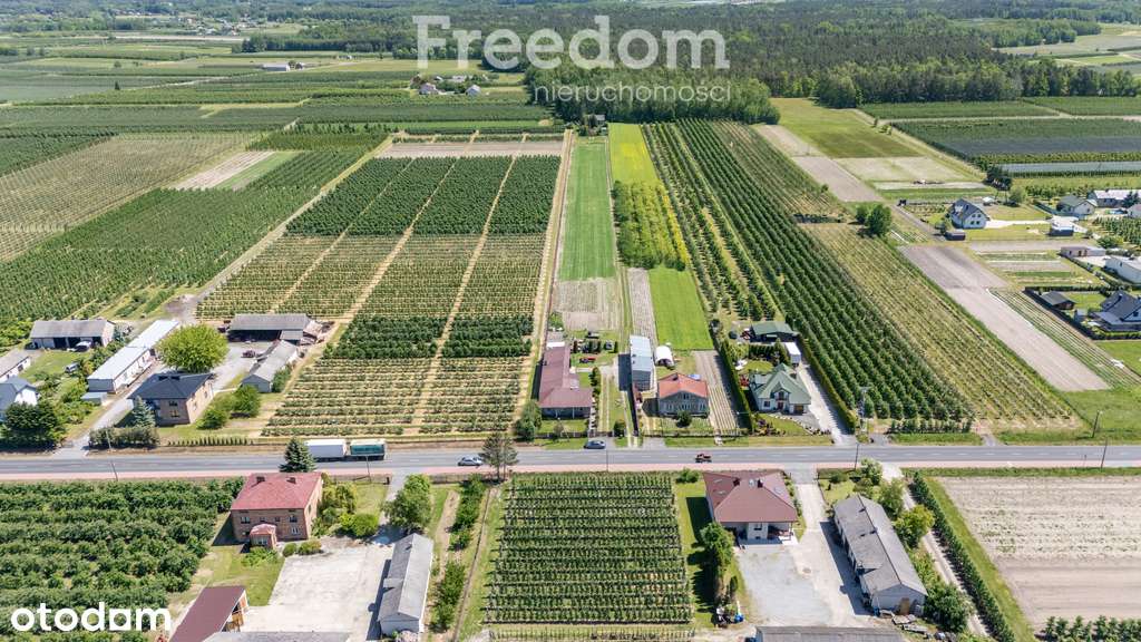 Dom z duża działka - Pełny obrazek: 4/19