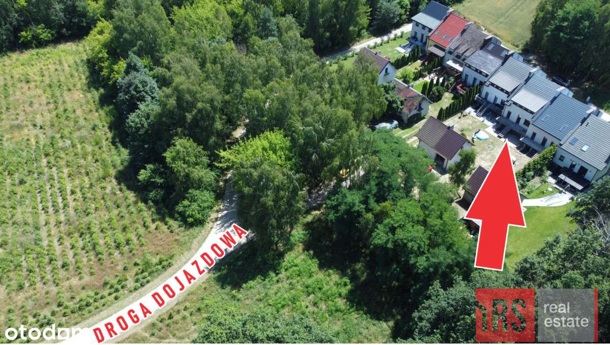 Segment w ścianie lasu tuż przy granicy m. Turku! - Pełny obrazek: 5/5