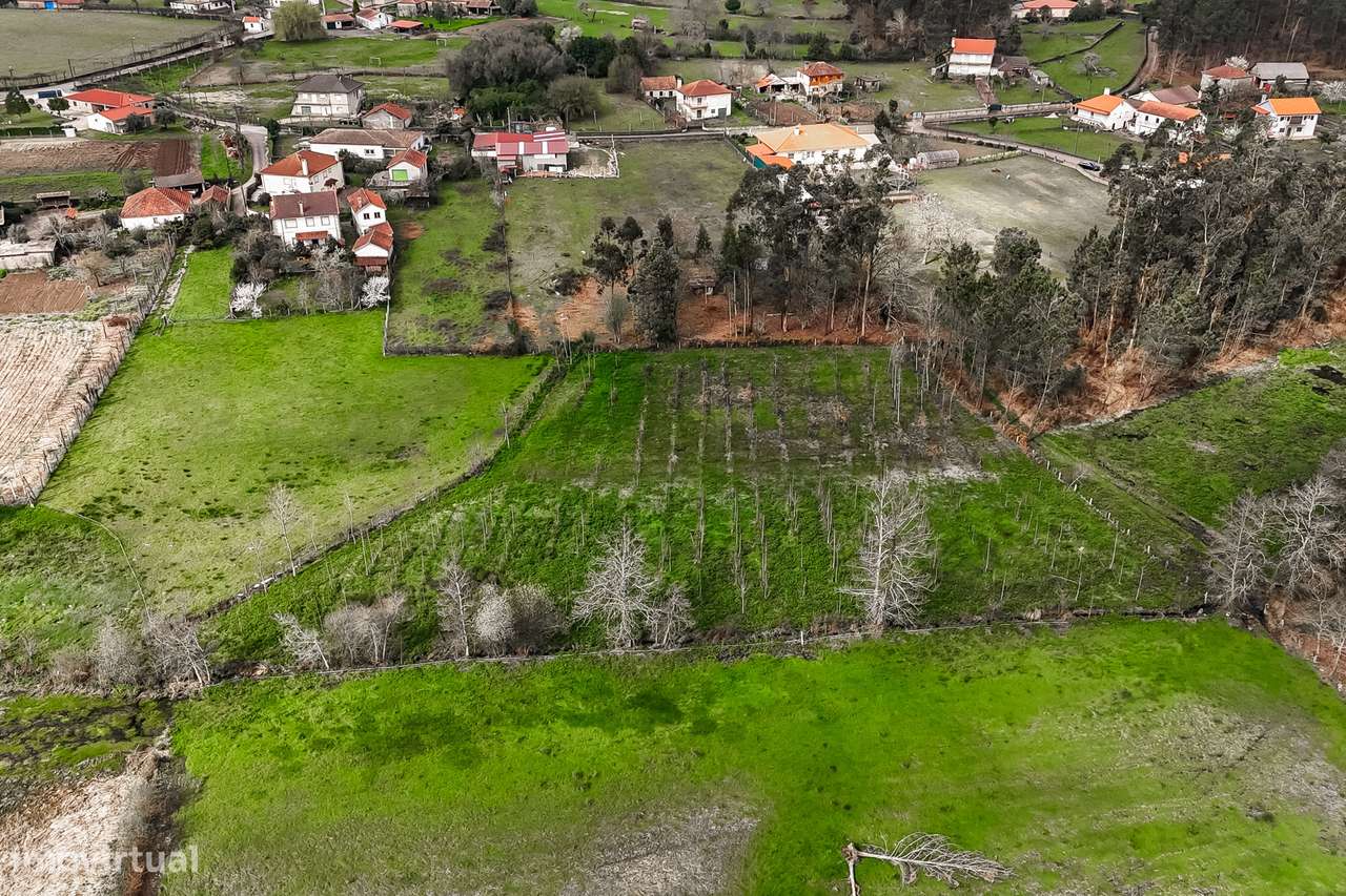 Terreno Rústico  Venda em Associação de freguesias do Vale do Neiva,Po-6